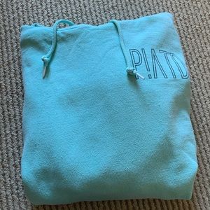 PANIC AT THE DISCO mint hoodie
